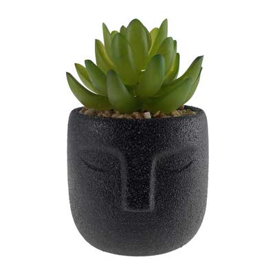 PLANTA 8X9X13CM