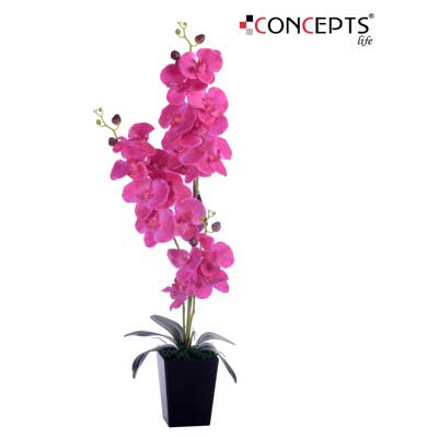 FLORES ORQUIDEAS ARTI