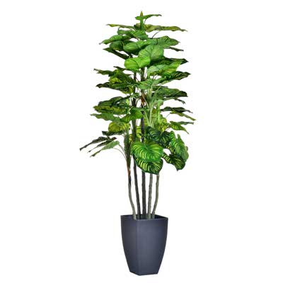 PLANTA CON POTE 110CM