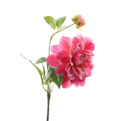 DALIA X60CM