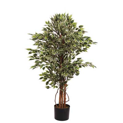 PLANTA ART. C/POTE 45x45x120 C