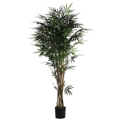 BAMBU C/POTE