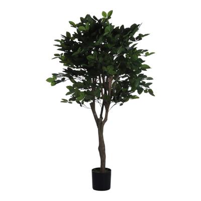 PLANTA CON POTE 48X48X150CM