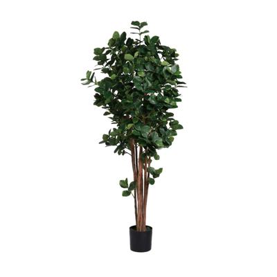 CLAUSIA C/POTE 40X40X180CM