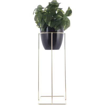 PLANTA ART. C/POTE