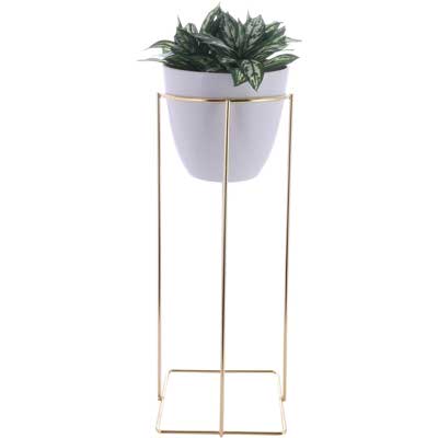 PLANTA ART. C/POTE