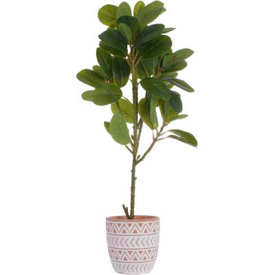 PLANTA ART. C/POTE