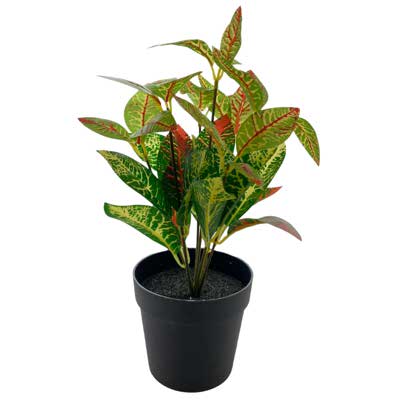 PLANTA C/POTE 8X8X26CM