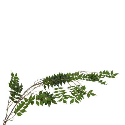 PLANTA COLGANTE 25X25X145CM