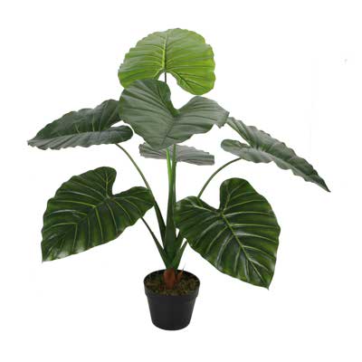 PLANTA C/POTE 90X60X90CM