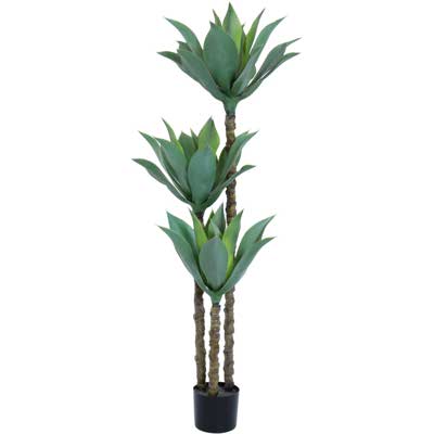 AGAVE C/POTE DECOR 150X80X150