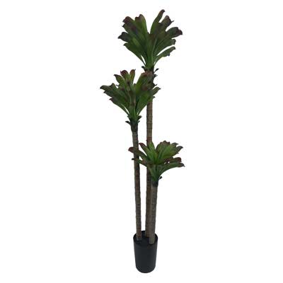 PLANTA C/MACETA
