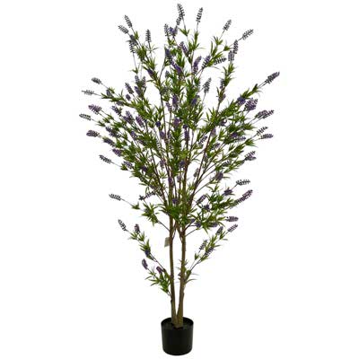 ARBOL-LAVANDA C/MACETA
