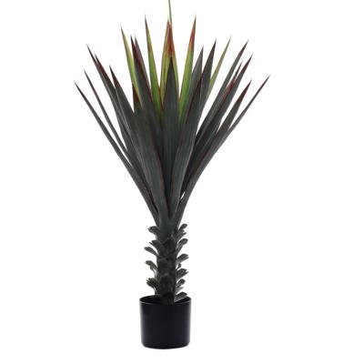 PLANTA DE AGAVE 60X90X90CM
