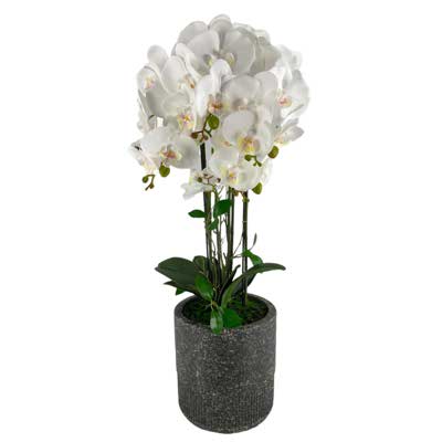 ORQUIDEA C/POTE 72CM