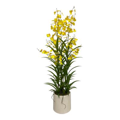ORQUIDEA DECOR 50X50X120CM
