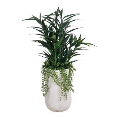 PLANTA C/POTE
