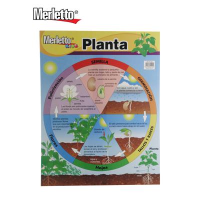 288PCS/CTN  EDUCATIONAL CHART