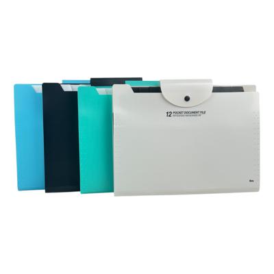 CARPETA EXPANSIBLE A5 13 BOLSILLOS