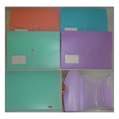 CARPETA EXPANSIBLE A4 13 DIVISORES COLOR PASTEL