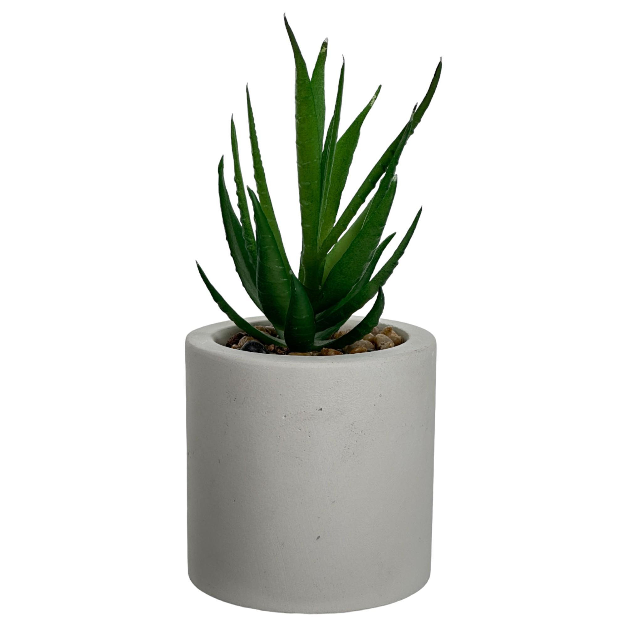 PLANTA ART DECOR 7.50X7.50X15C - 415-71707