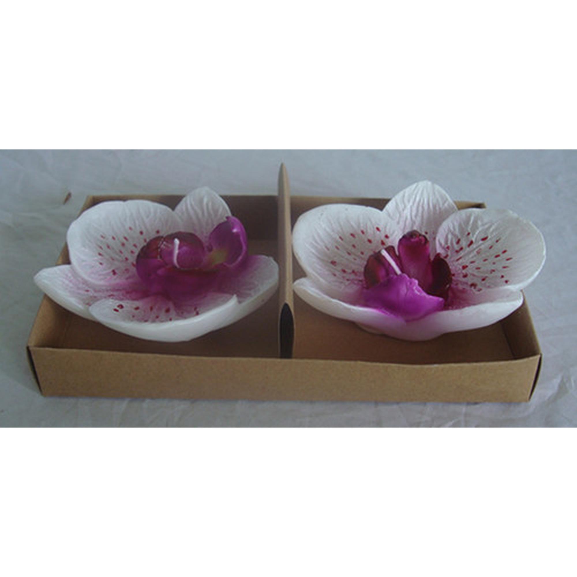 JG VELA 2/S 22x10cm - 415-81006SF