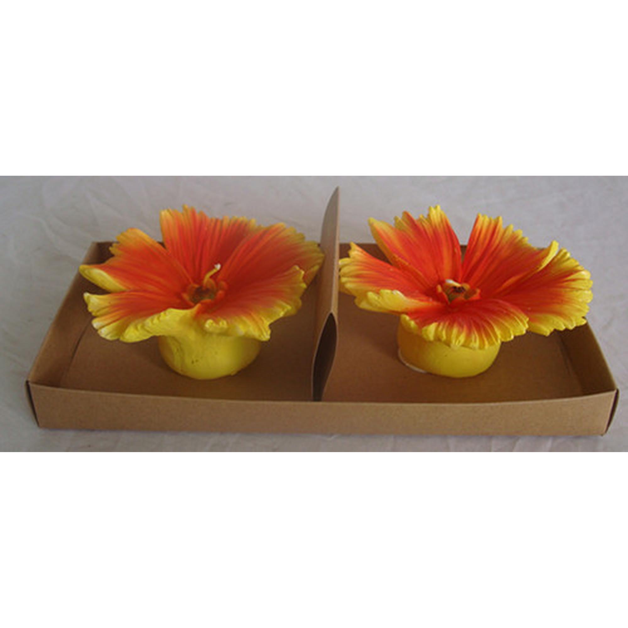 JG VELA 2/S 22x10cm - 415-81008SF