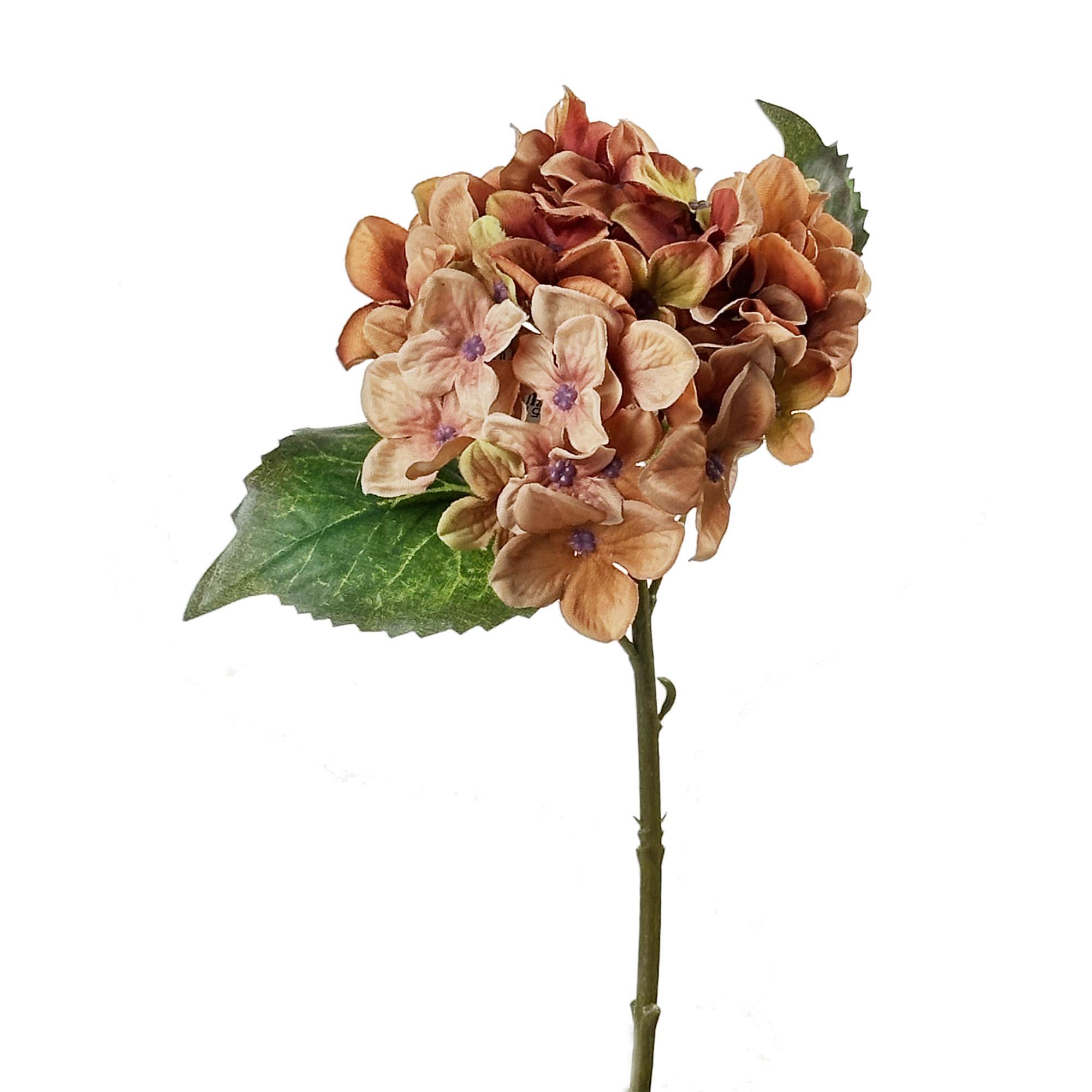 Hydrangea - 420-5910051