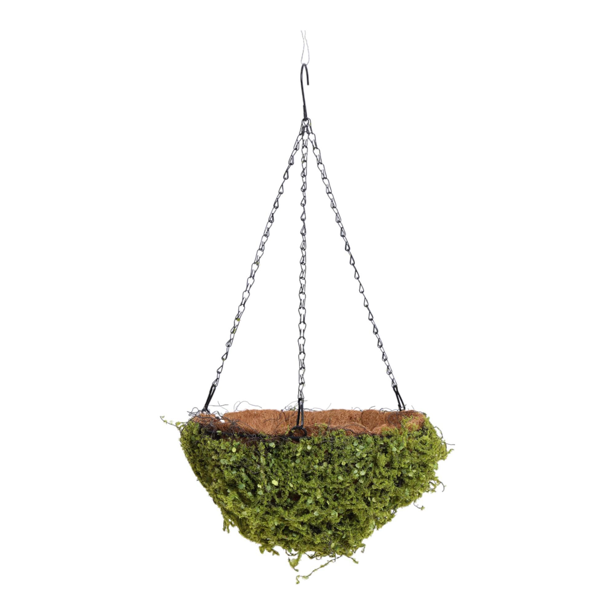Moss basket - 420-5910299