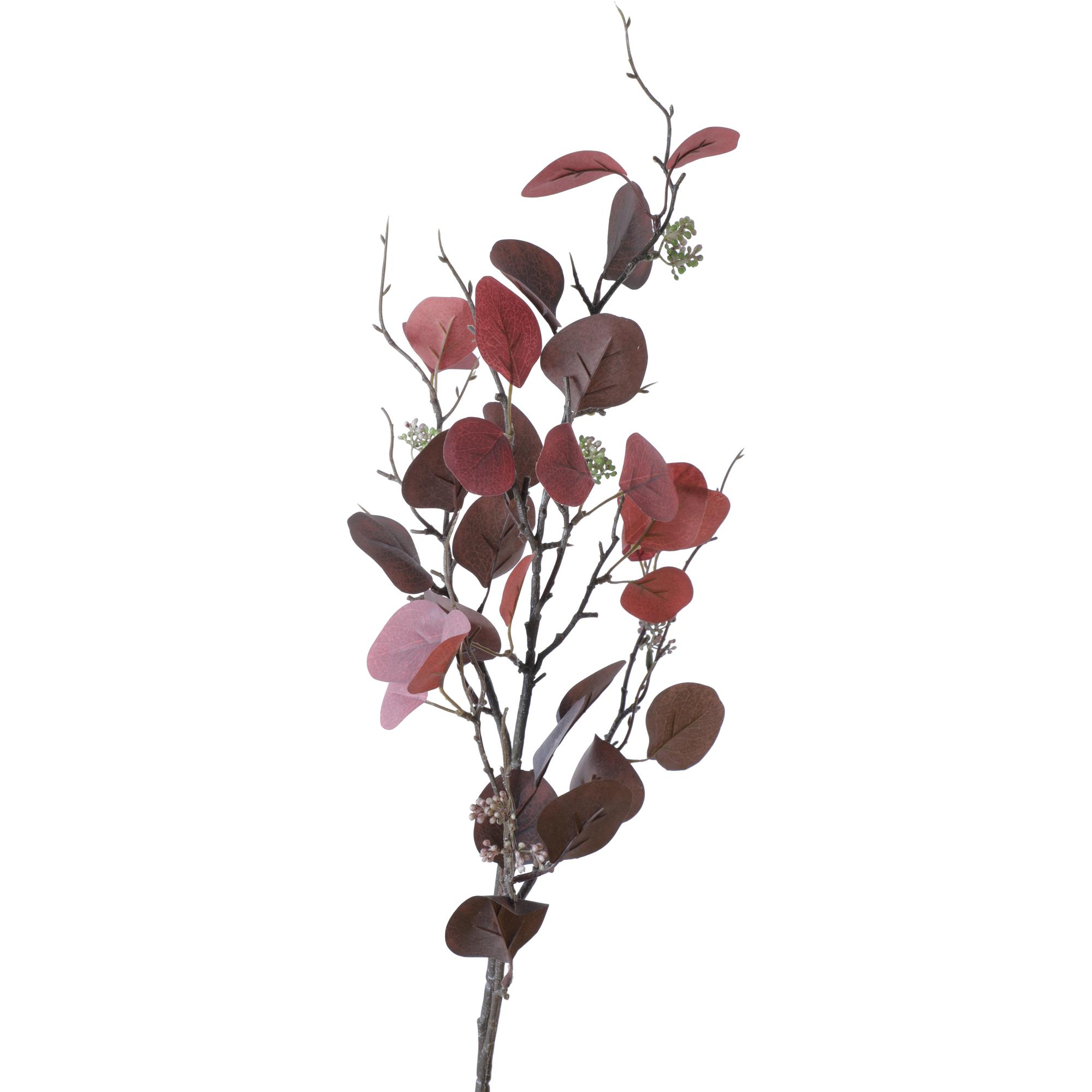 Leaf spary - 420-592889