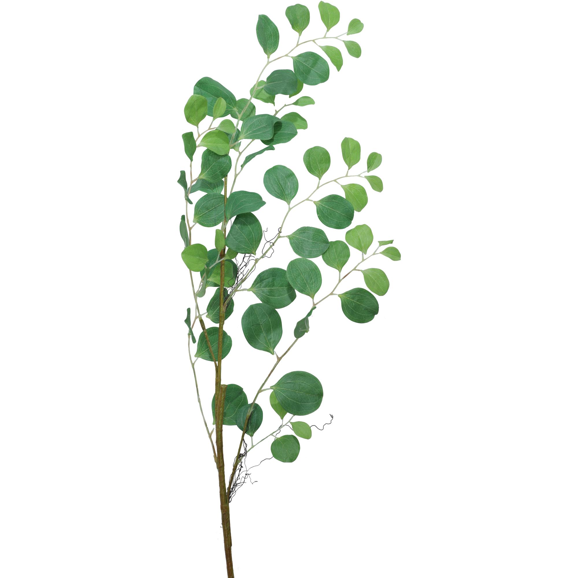 Leaf - 420-592936