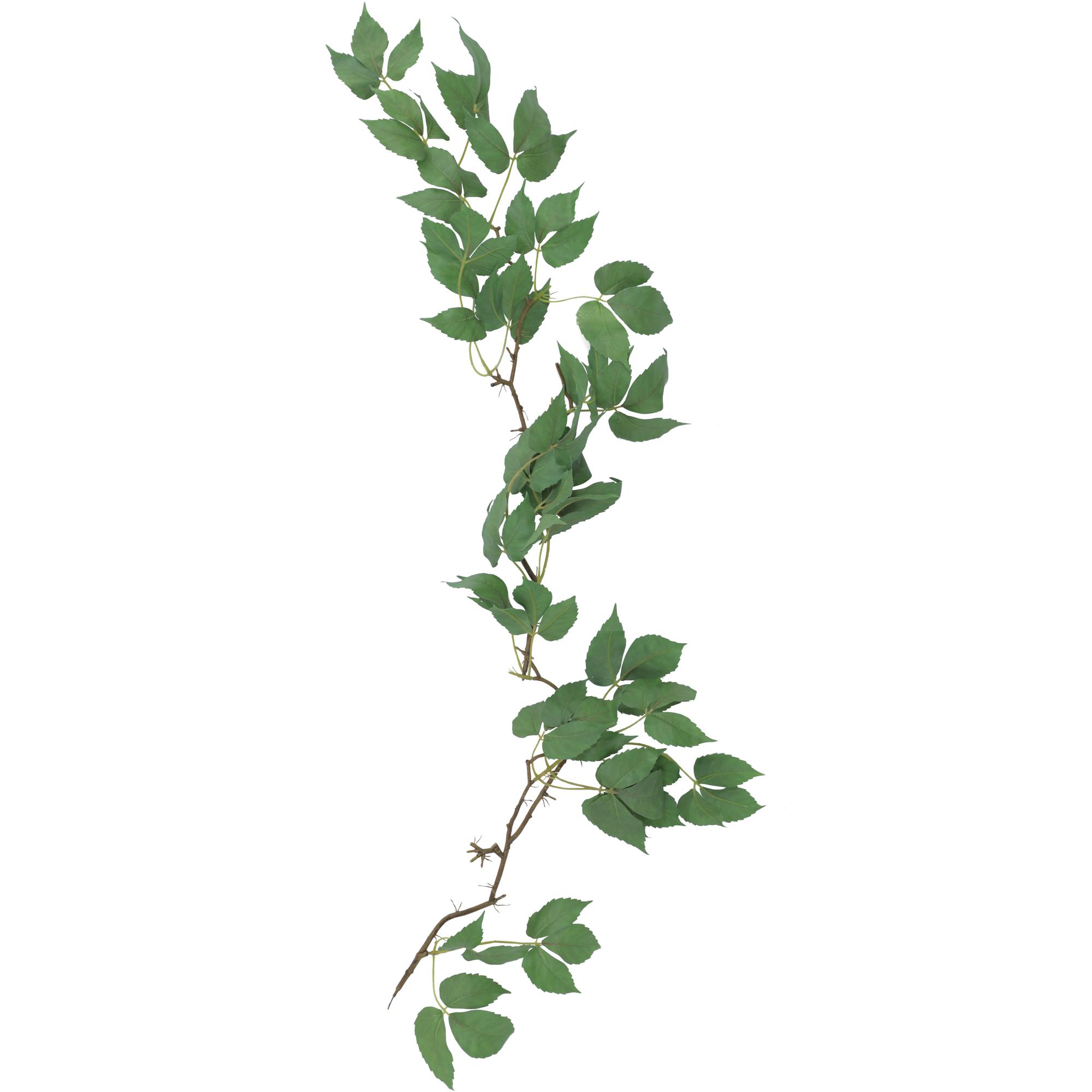 Leaf - 420-592938
