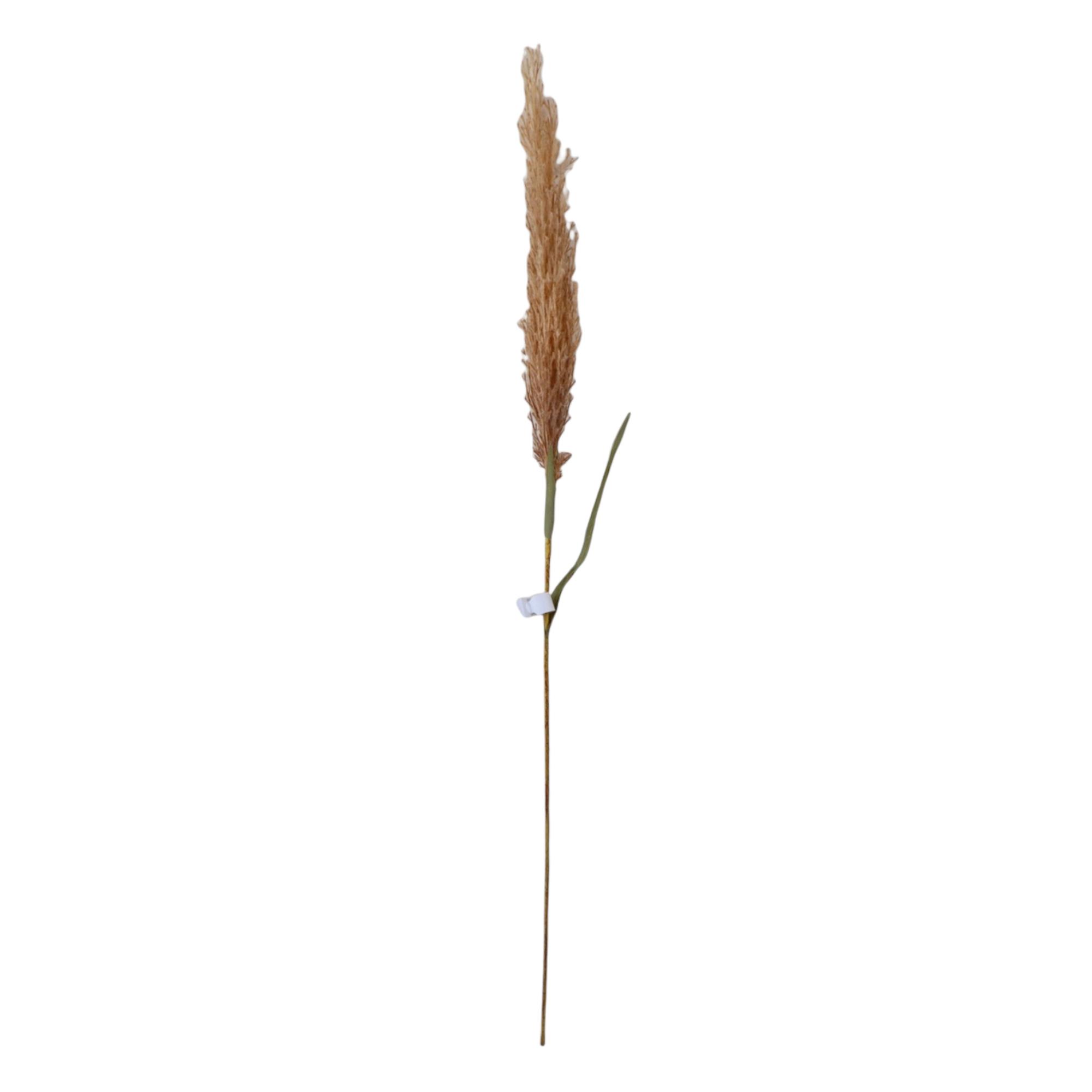 REEDS DCOR - 420-593618