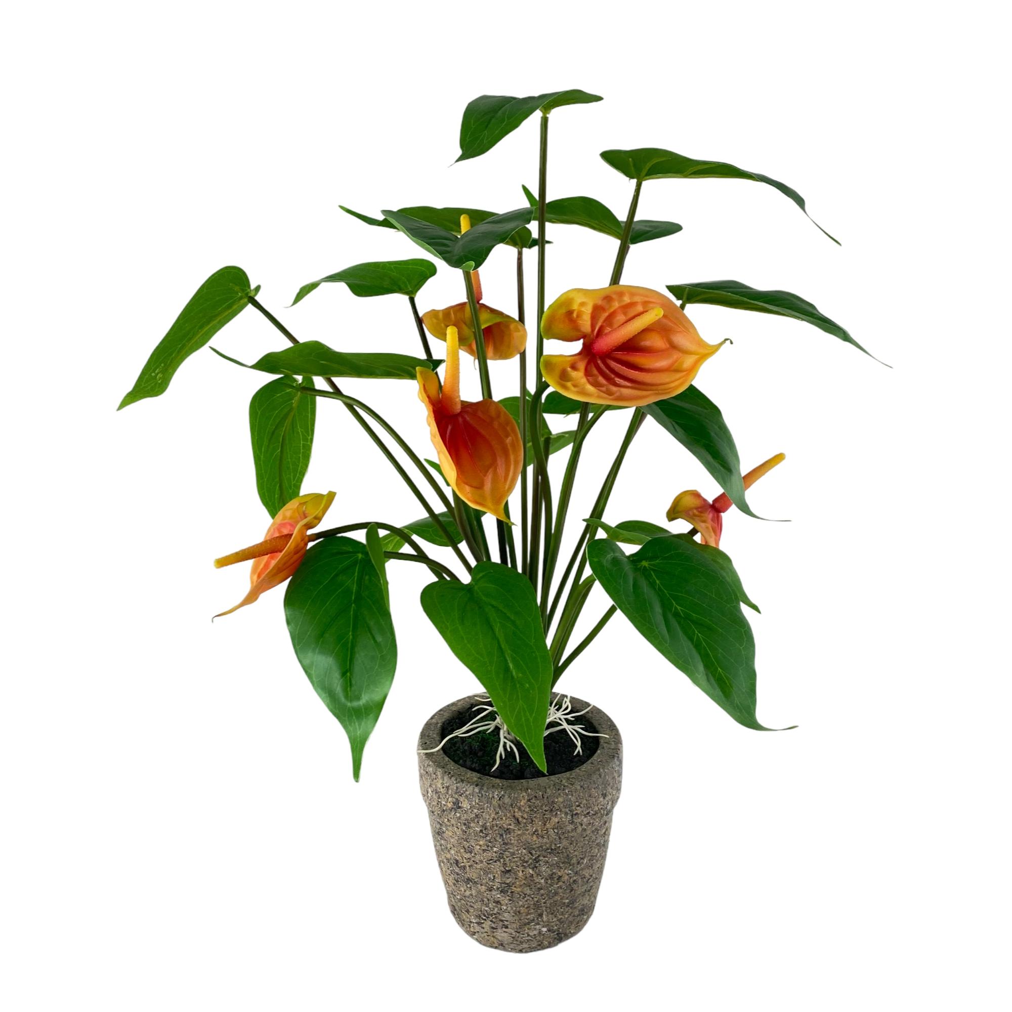 DECORAÇÃO DE ORQUÍDEAS - 420-595571