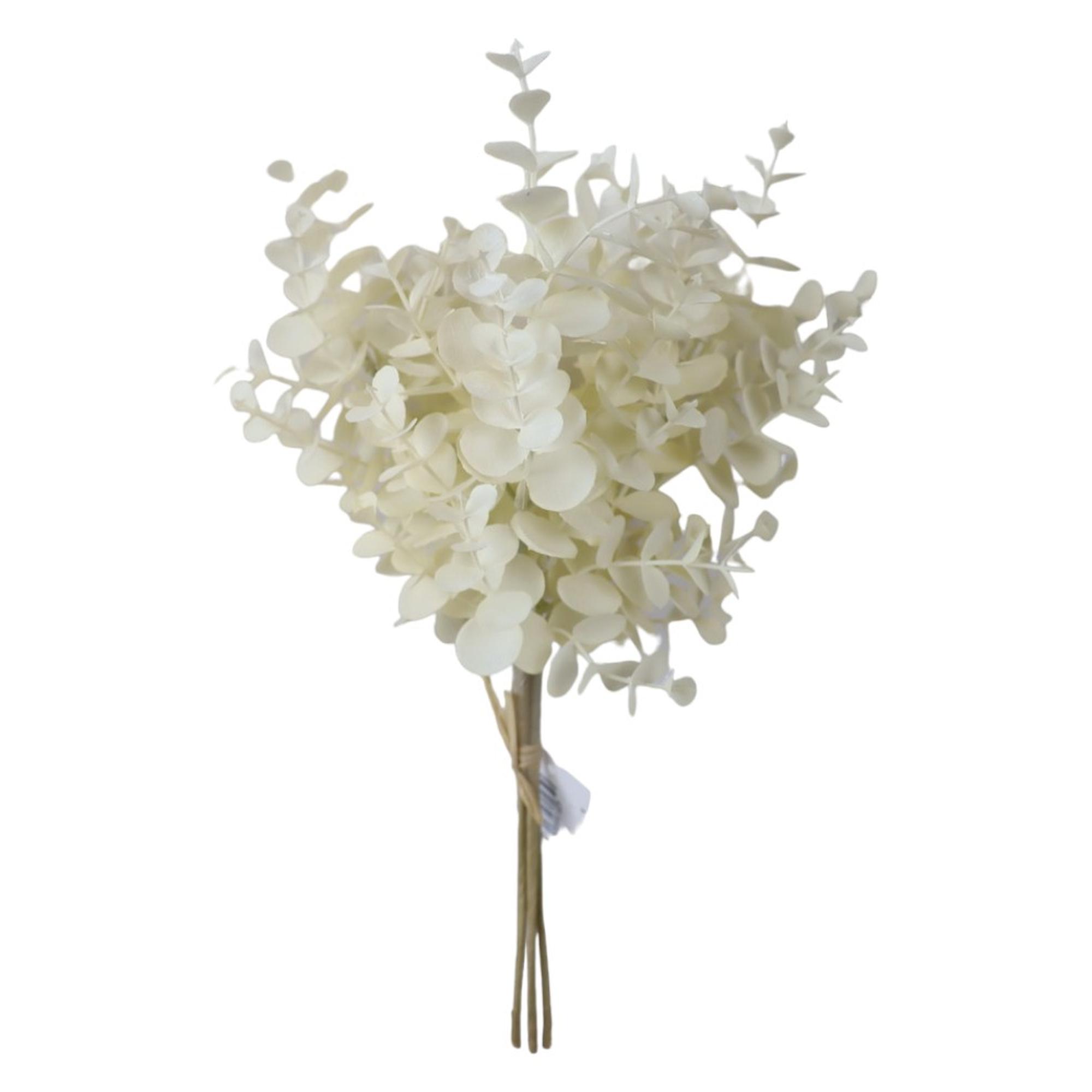 RAMO DECOR - 420-595808