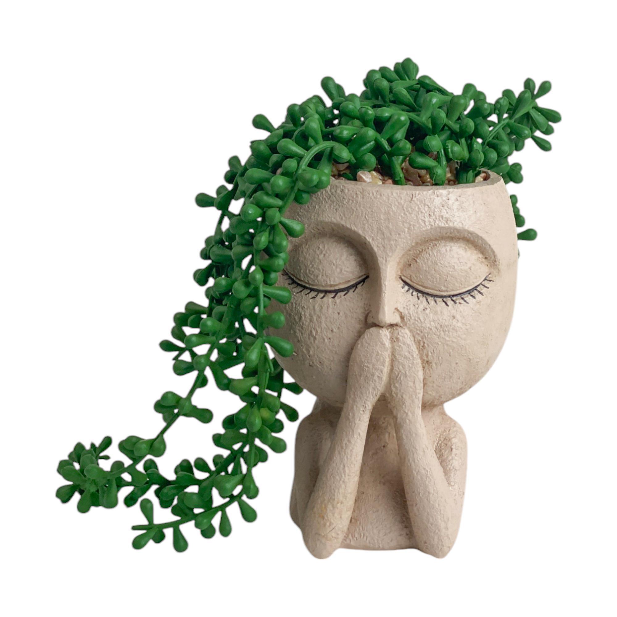 PLANTA C/POTE 14.5X13X18CM - 437-5020067