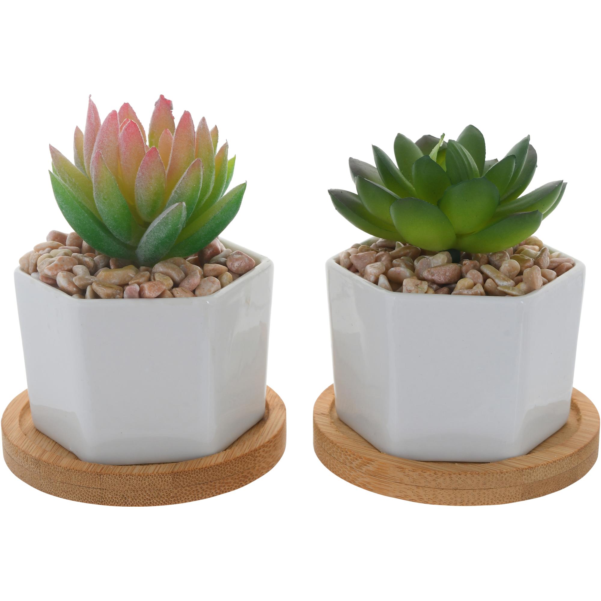 PLANTA ARTIF COM VASO 2SURT 8X8X - 439-356834