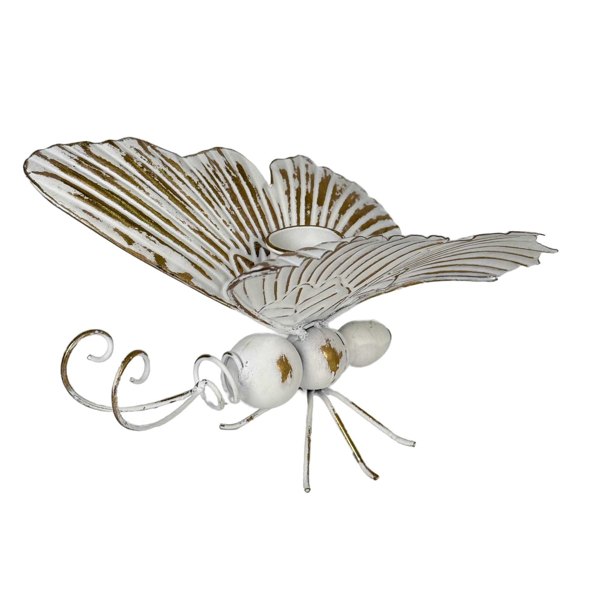 butterfly - 448-5720251