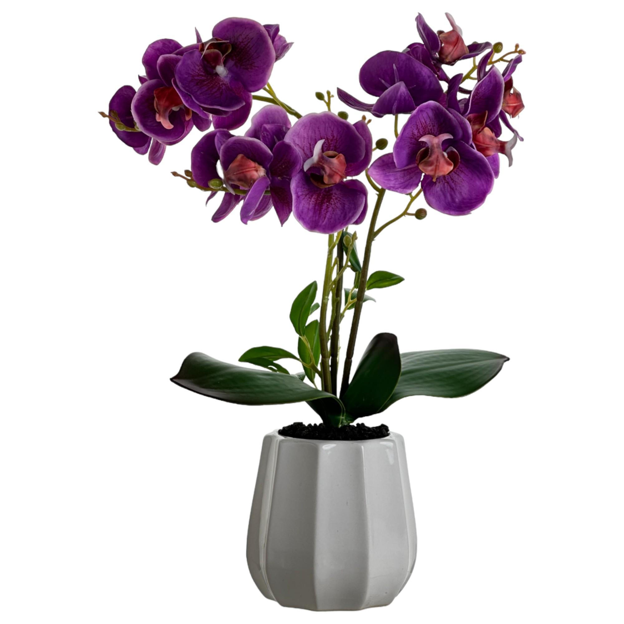 ORQUÍDEA COM C/ 14X28X48CM - 449-3710008