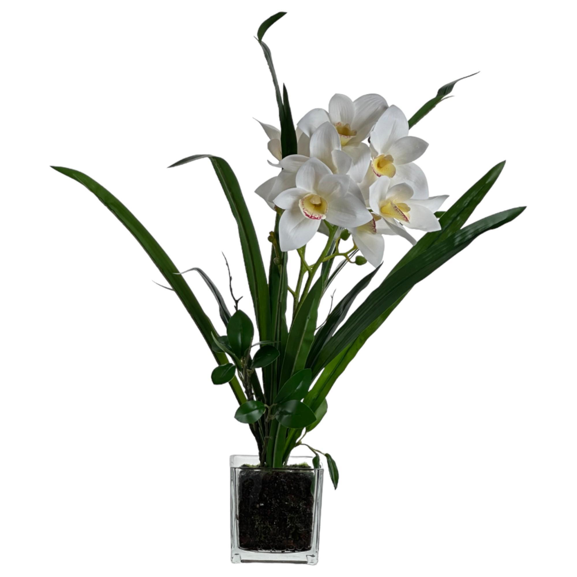 ORQUIDEA C/POTE 10X36X48CM - 449-3710016