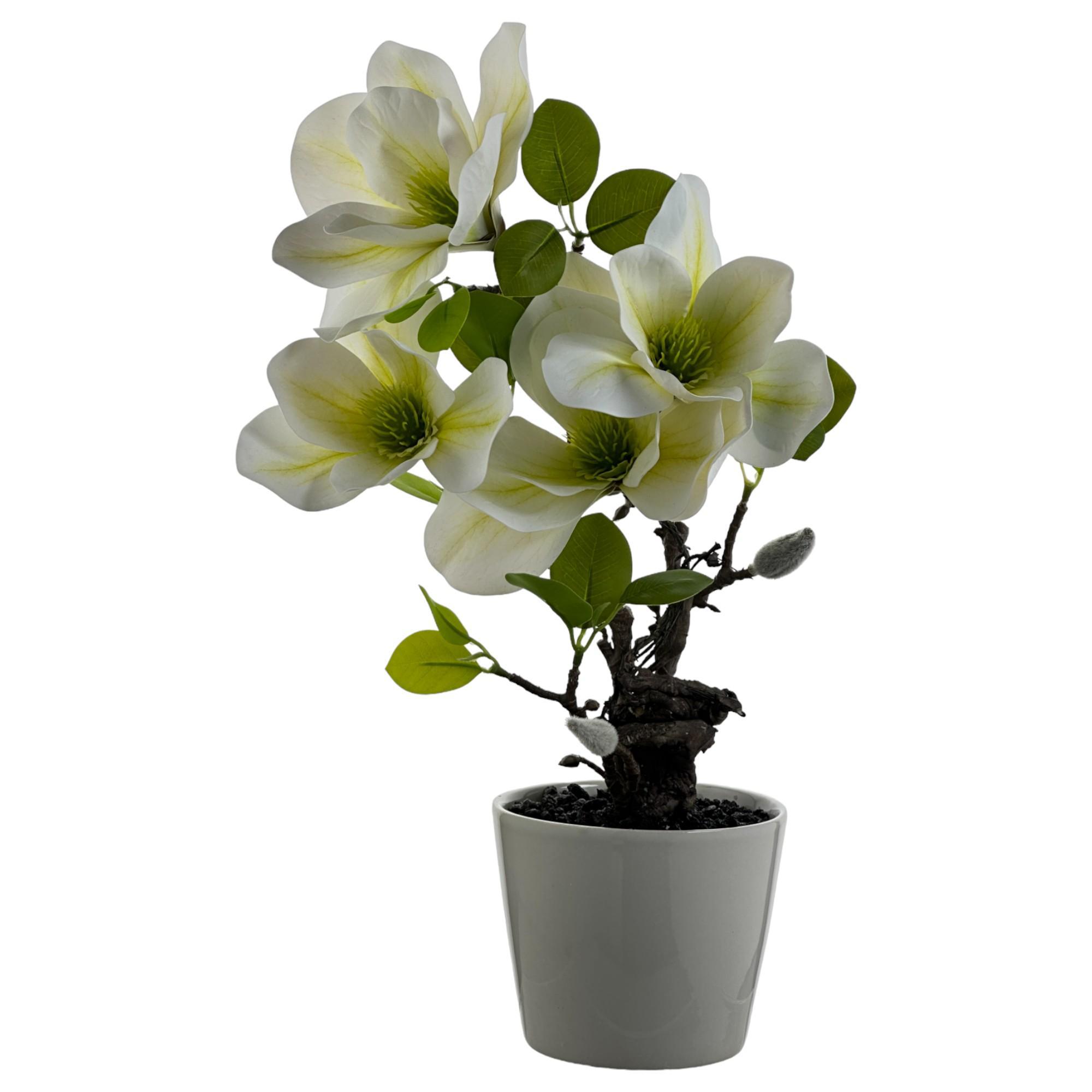 MAGNOLIA C/POTE 16X24X38CM - 449-3710020