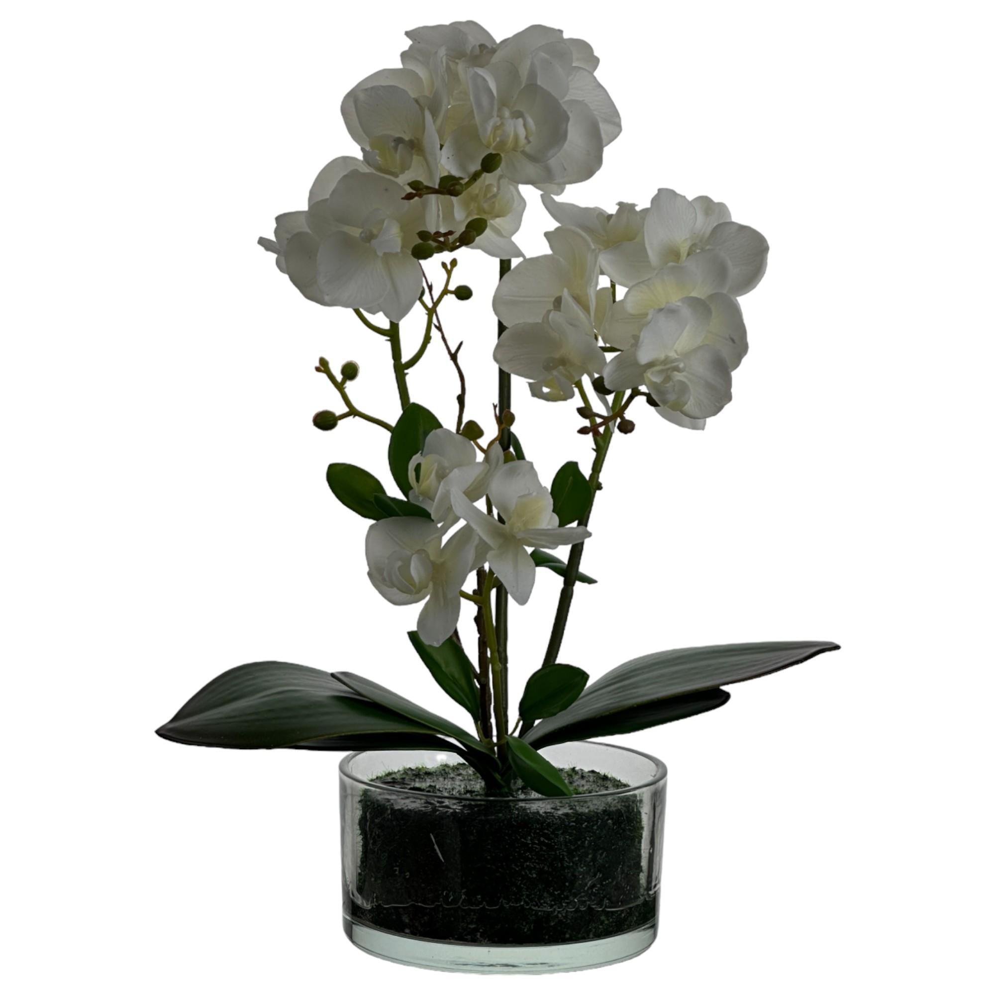 ORQUÍDEA COM C/ 14X28X42CM - 449-3710033