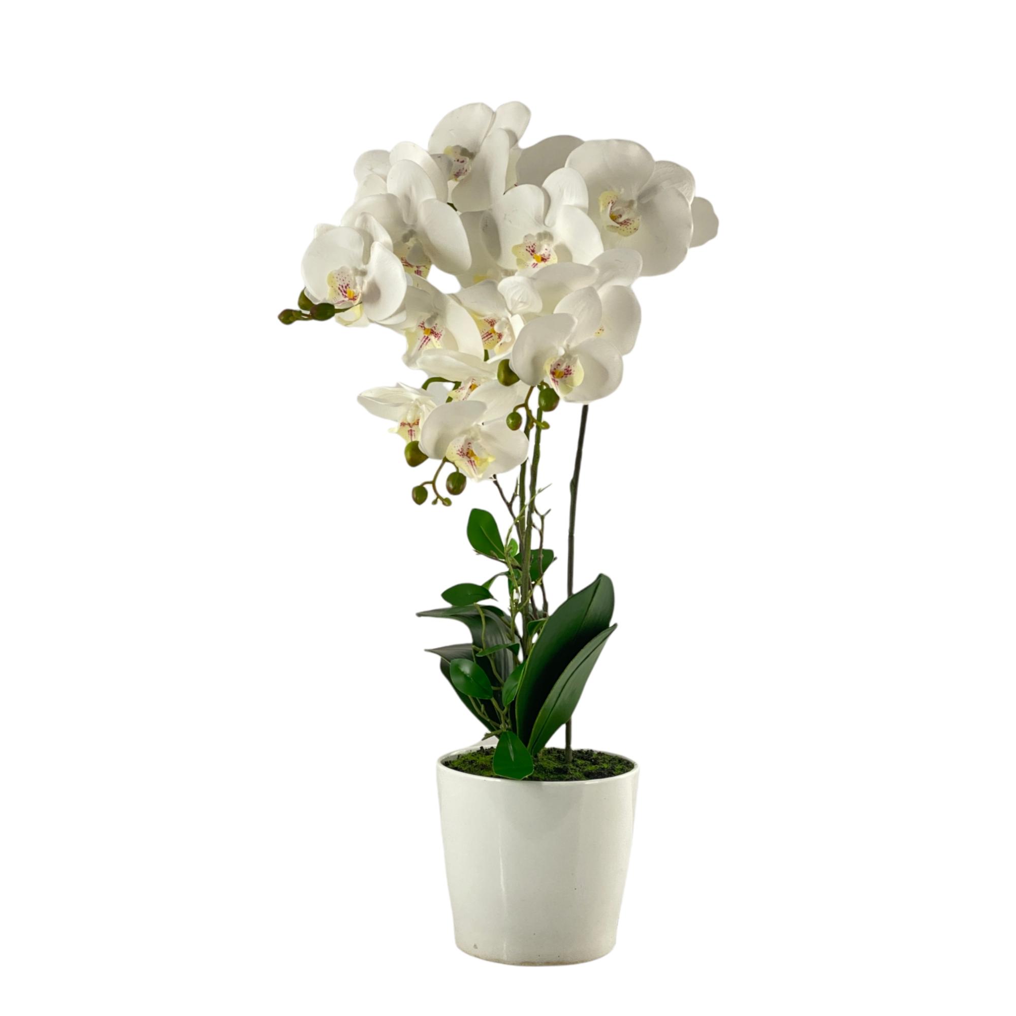 PLANTA C/VASO 17X17X60CM - 449-376969