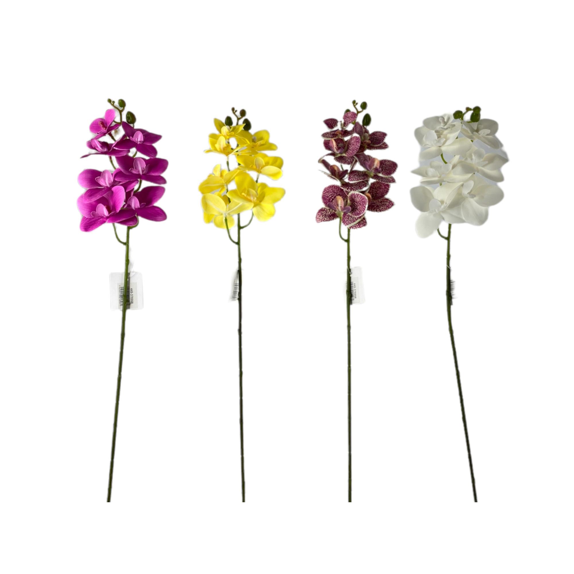ORQUIDEA 4 SURT 70CM - 449-376998