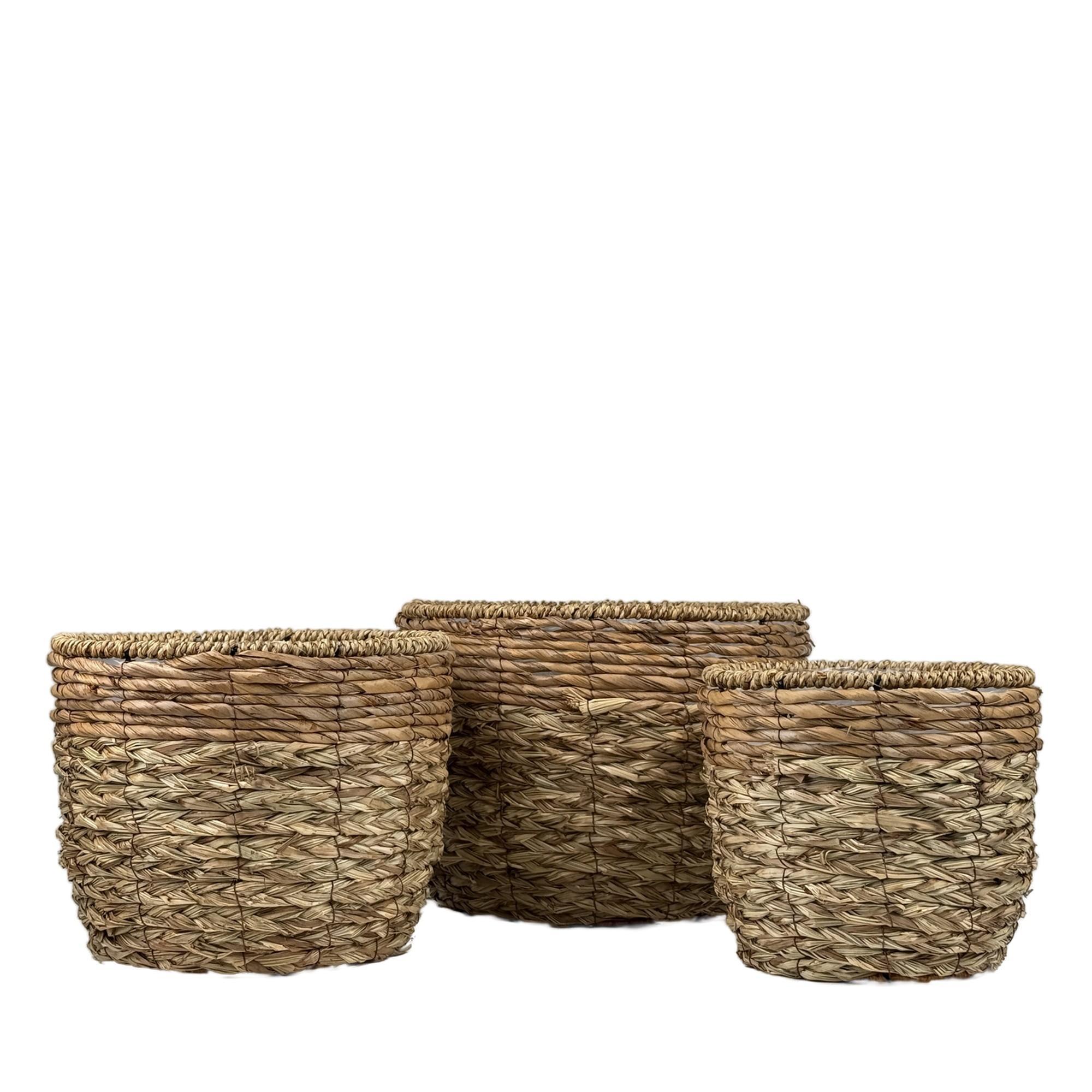 PLANTERS - 454-5400040