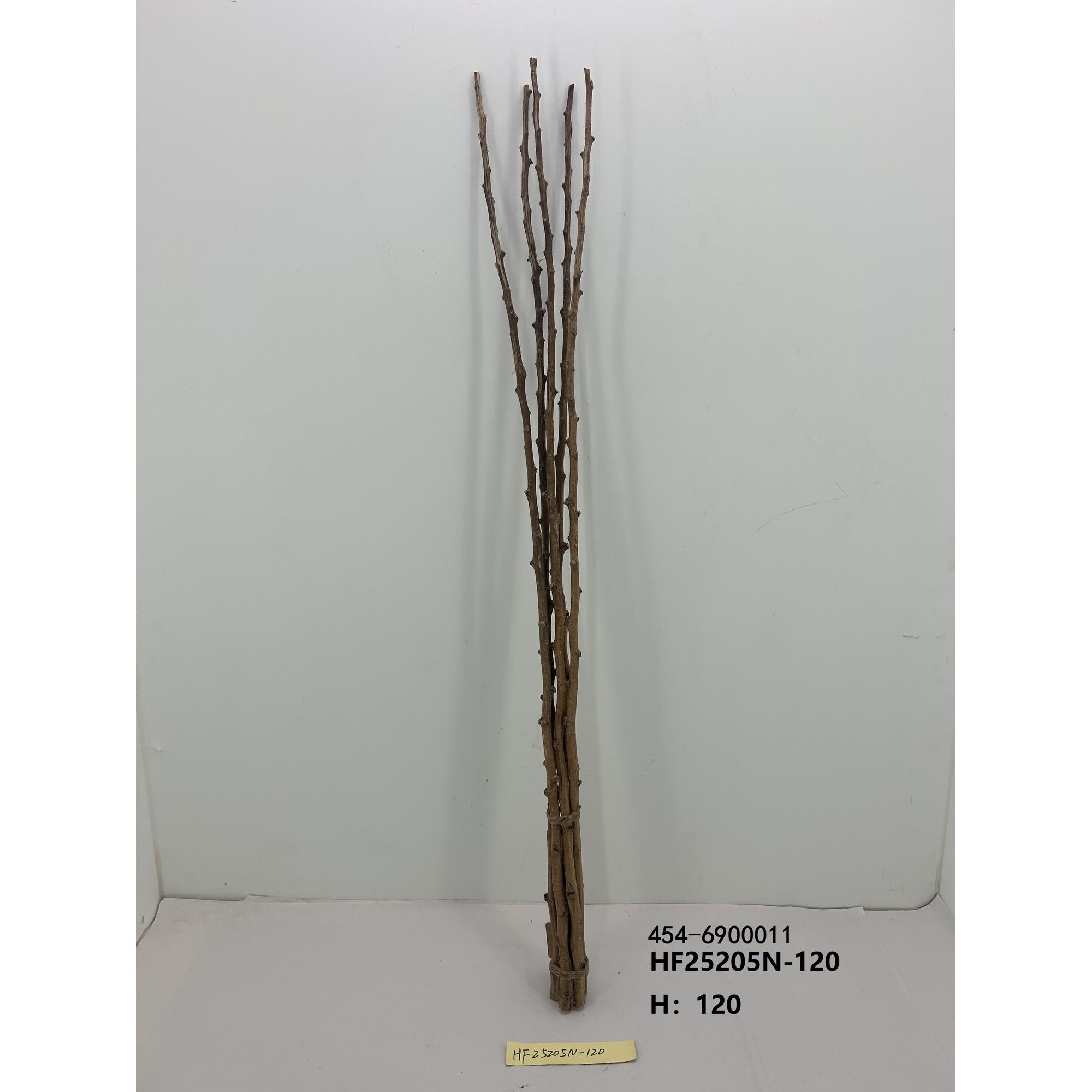 branch - 454-6900011