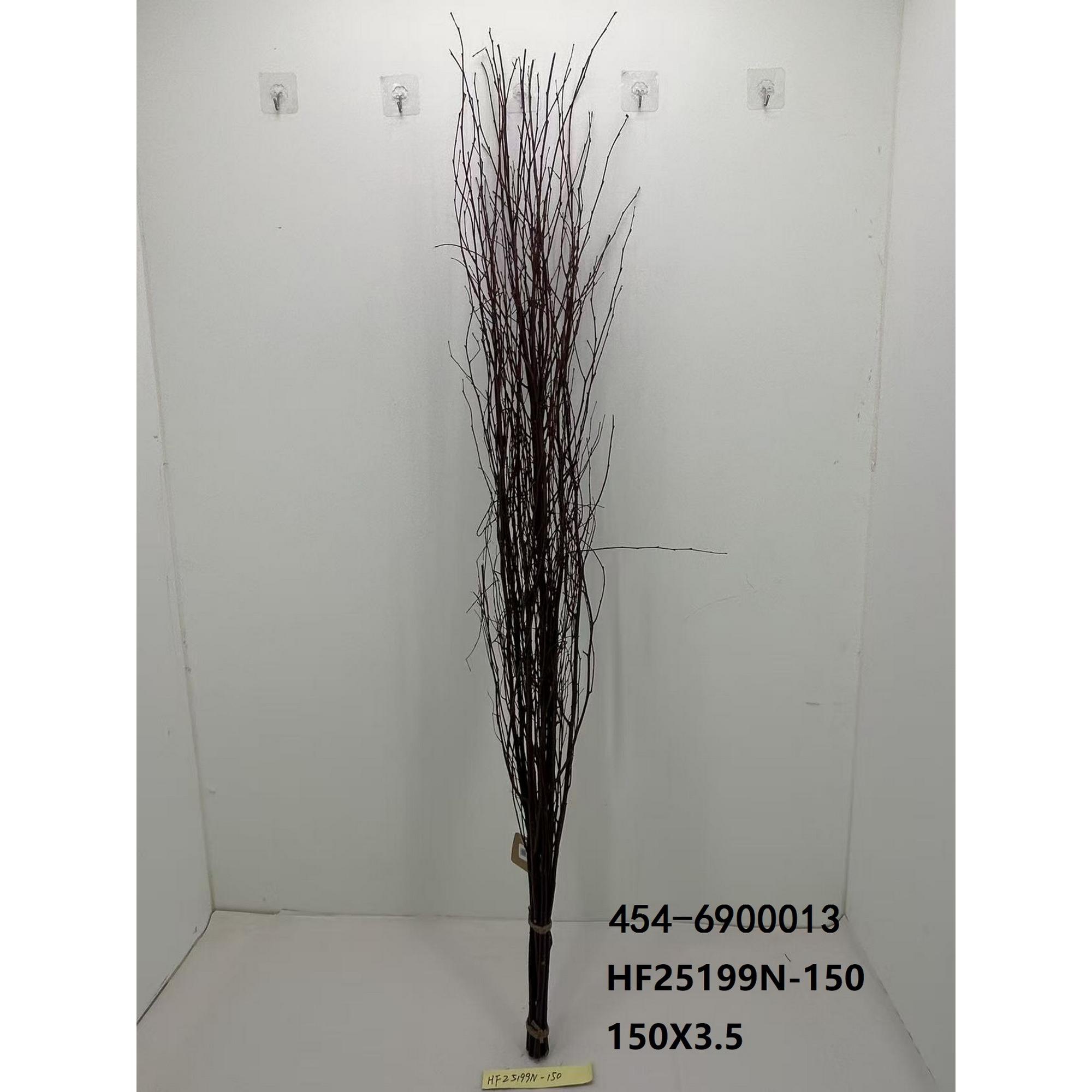branch - 454-6900013