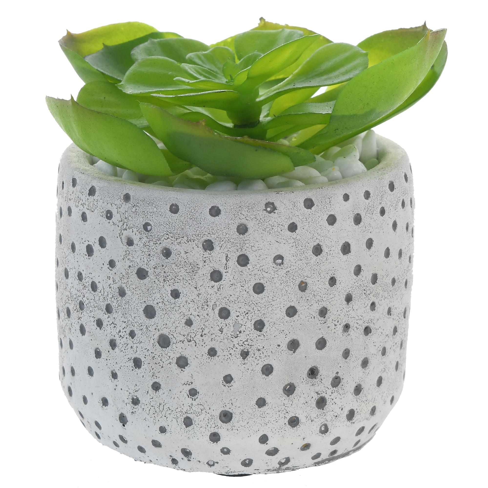 PLANT WITH POT 4UNITS - 456-471748