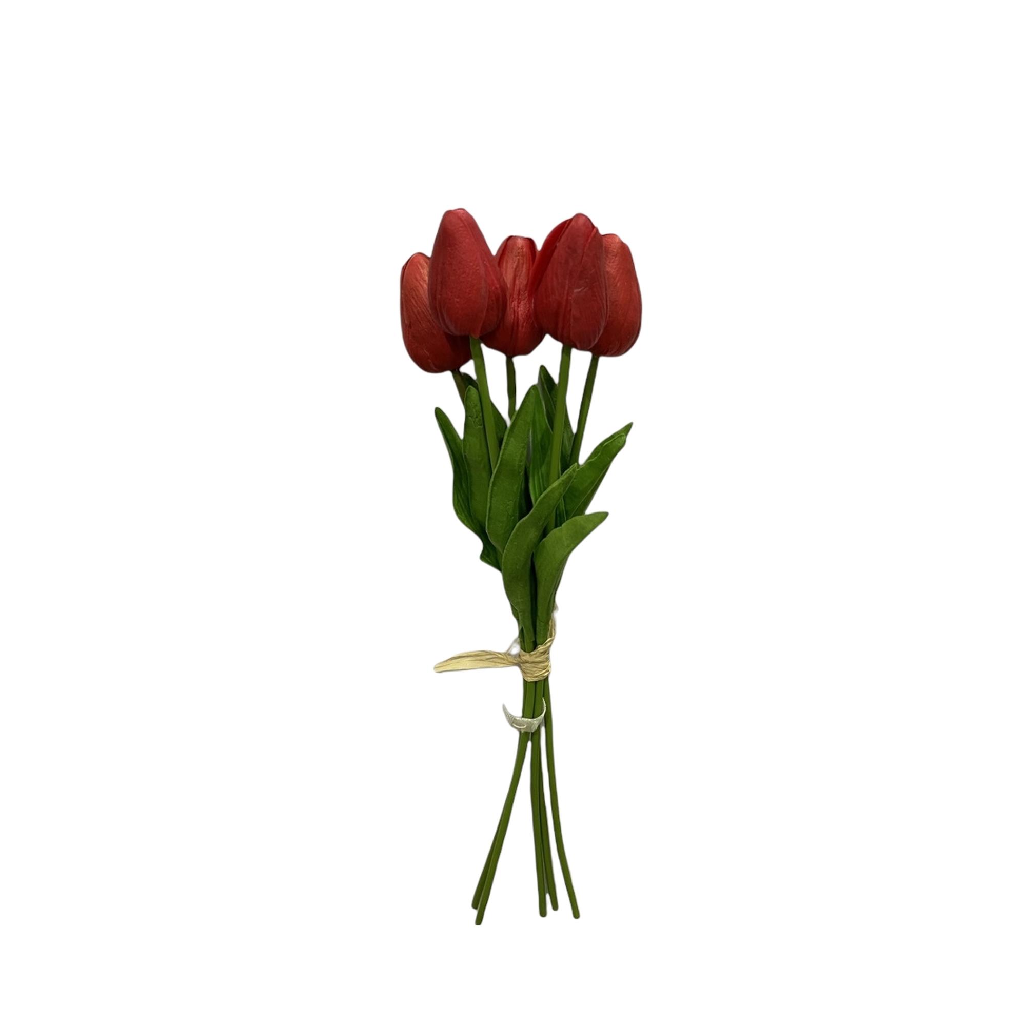 BOUQUET D/TULIPAN ART. 5PC 34C - 456-471965