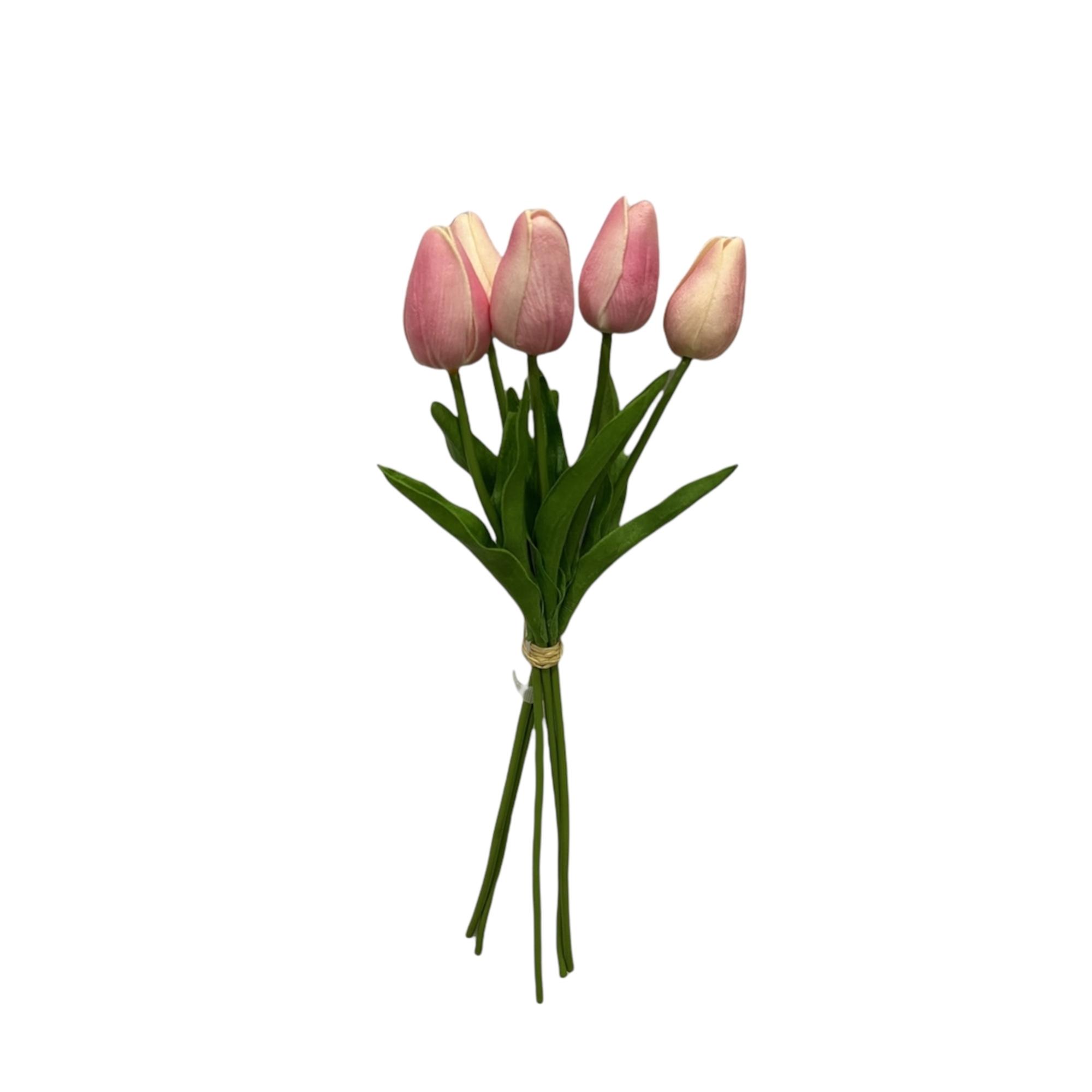 BOUQUET D/TULIPAN ART. 5PC 34C - 456-471967